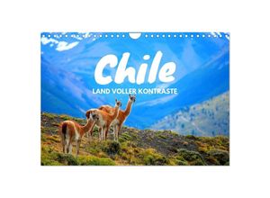 9783435498154 - Chile - Land voller Kontraste (Wandkalender 2025 DIN A4 quer) CALVENDO Monatskalender