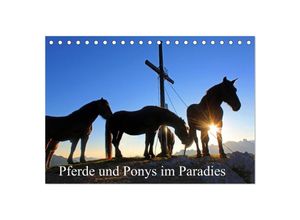 9783435500291 - Pferde und Ponys im Paradies (Tischkalender 2025 DIN A5 quer) CALVENDO Monatskalender