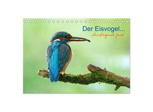 9783435500352 - Der Eisvogelfliegendes Juwel (Tischkalender 2025 DIN A5 quer) CALVENDO Monatskalender