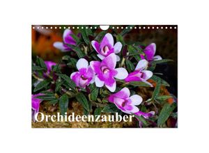 9783435500574 - Orchideenzauber (Wandkalender 2025 DIN A4 quer) CALVENDO Monatskalender