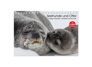 9783435502622 - Seehunde und Otter Putzige Gesellen perfekte Schwimmer (Tischkalender 2025 DIN A5 quer) CALVENDO Monatskalender