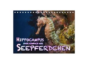 9783435502974 - Hippocampus oder einfach nur Seepferdchen (Tischkalender 2025 DIN A5 quer) CALVENDO Monatskalender