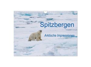 9783435503117 - Spitzbergen - Arktische Impressionen (Wandkalender 2025 DIN A4 quer) CALVENDO Monatskalender