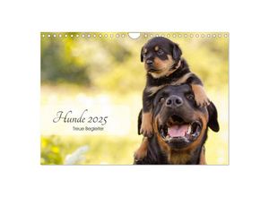 9783435503346 - Hunde 2025 - Treue Begleiter (Wandkalender 2025 DIN A4 quer) CALVENDO Monatskalender