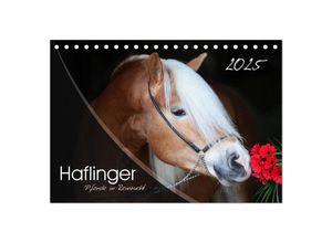 9783435504121 - Haflinger-Pferde in Reinzucht (Tischkalender 2025 DIN A5 quer) CALVENDO Monatskalender