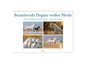 9783435505746 - Bezaubernde Eleganz weißer Pferde (Wandkalender 2025 DIN A4 quer) CALVENDO Monatskalender