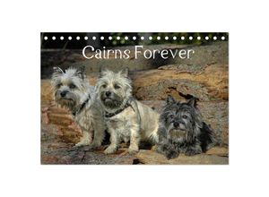 9783435506033 - Cairns Forever (Tischkalender 2025 DIN A5 quer) CALVENDO Monatskalender