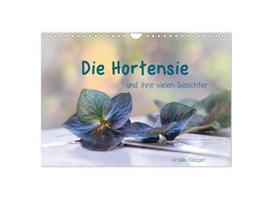 9783435507412 - Die Hortensie und ihre vielen Gesichter (Wandkalender 2025 DIN A4 quer) CALVENDO Monatskalender