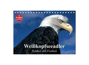 9783435509355 - Weißkopfseeadler Symbol der Freiheit (Tischkalender 2025 DIN A5 quer) CALVENDO Monatskalender