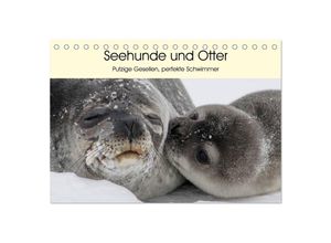 9783435509362 - Seehunde und Otter Putzige Gesellen perfekte Schwimmer (Tischkalender 2025 DIN A5 quer) CALVENDO Monatskalender