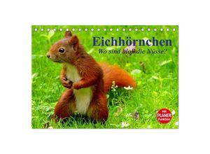 9783435510825 - Eichhörnchen Wo sind bloß die Nüsse? (Tischkalender 2025 DIN A5 quer) CALVENDO Monatskalender