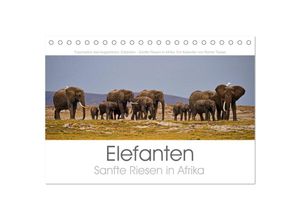 9783435510863 - Elefanten - Sanfte Riesen in Afrika (Tischkalender 2025 DIN A5 quer) CALVENDO Monatskalender