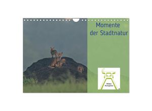 9783435510900 - Wildes Ruhrgebiet - Momente der Stadtnatur (Wandkalender 2025 DIN A4 quer) CALVENDO Monatskalender