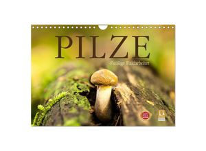 9783435511044 - Pilze - fleißige Waldarbeiter (Wandkalender 2025 DIN A4 quer) CALVENDO Monatskalender