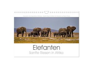 9783435511846 - Elefanten - Sanfte Riesen in Afrika (Wandkalender 2025 DIN A4 quer) CALVENDO Monatskalender