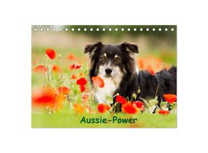 9783435512607 - Aussie-Power (Tischkalender 2025 DIN A5 quer) CALVENDO Monatskalender