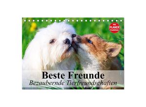 9783435514342 - Beste Freunde Bezaubernde Tierfreundschaften (Tischkalender 2025 DIN A5 quer) CALVENDO Monatskalender