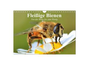 9783435514359 - Fleißige Bienen Von der Blüte bis zum Honig (Wandkalender 2025 DIN A4 quer) CALVENDO Monatskalender