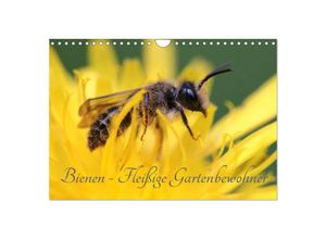 9783435514526 - Bienen - Fleißige Gartenbewohner (Wandkalender 2025 DIN A4 quer) CALVENDO Monatskalender