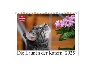 9783435516117 - Die Launen der Katzen 2025 (Tischkalender 2025 DIN A5 quer) CALVENDO Monatskalender