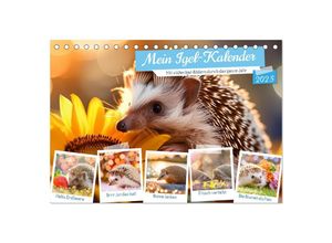 9783435516230 - Mein Igel-Kalender (Tischkalender 2025 DIN A5 quer) CALVENDO Monatskalender