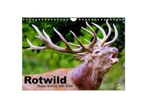 9783435516292 - Rotwild Edle Hirsche stolze Kühe (Wandkalender 2025 DIN A4 quer) CALVENDO Monatskalender