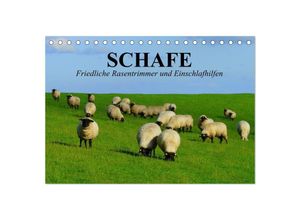 9783435516995 - Schafe Friedliche Rasentrimmer und Einschlafhilfen (Tischkalender 2025 DIN A5 quer) CALVENDO Monatskalender