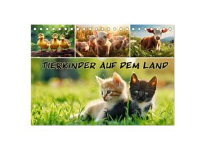 9783435517015 - Tierkinder auf dem Land (Tischkalender 2025 DIN A5 quer) CALVENDO Monatskalender