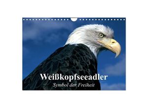 9783435518135 - Weißkopfseeadler Symbol der Freiheit (Wandkalender 2025 DIN A4 quer) CALVENDO Monatskalender