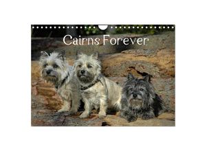 9783435518333 - Cairns Forever (Wandkalender 2025 DIN A4 quer) CALVENDO Monatskalender