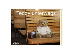 9783435518463 - Teddy unterwegs (Wandkalender 2025 DIN A4 quer) CALVENDO Monatskalender