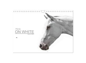 9783435518883 - Pferde ON WHITE (Wandkalender 2025 DIN A4 quer) CALVENDO Monatskalender