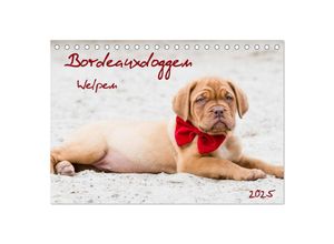 9783435518906 - Bordeauxdoggen Welpen (Tischkalender 2025 DIN A5 quer) CALVENDO Monatskalender