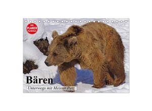 9783435519019 - Bären Unterwegs mit Meister Petz (Tischkalender 2025 DIN A5 quer) CALVENDO Monatskalender