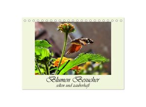 9783435519484 - Blumen-Besucher - selten und zauberhaft (Tischkalender 2025 DIN A5 quer) CALVENDO Monatskalender