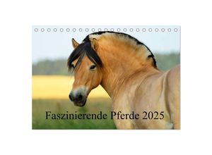 9783435520589 - Faszinierende Pferde 2025 (Tischkalender 2025 DIN A5 quer) CALVENDO Monatskalender