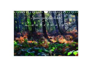 9783435520725 - Spaziergang durch den Zauberwald (Wandkalender 2025 DIN A4 quer) CALVENDO Monatskalender