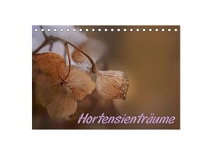 9783435521531 - Hortensienträume (Tischkalender 2025 DIN A5 quer) CALVENDO Monatskalender