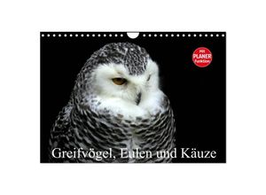 9783435521777 - Greifvögel Eulen und Käuze (Wandkalender 2025 DIN A4 quer) CALVENDO Monatskalender