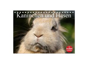 9783435521975 - Kaninchen und Hasen (Tischkalender 2025 DIN A5 quer) CALVENDO Monatskalender