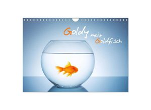 9783435522095 - Goldy - mein Goldfisch (Wandkalender 2025 DIN A4 quer) CALVENDO Monatskalender