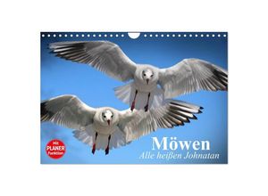 9783435523733 - Möwen Alle heißen Johnatan (Wandkalender 2025 DIN A4 quer) CALVENDO Monatskalender