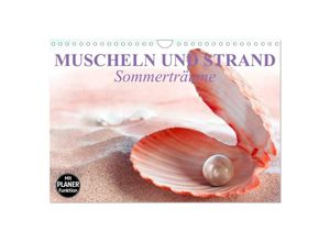 9783435524174 - Muscheln und Strand - Sommerträume (Wandkalender 2025 DIN A4 quer) CALVENDO Monatskalender