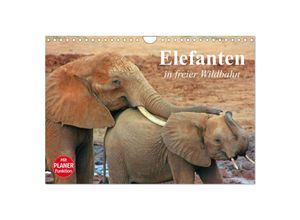 9783435524181 - Elefanten in freier Wildbahn (Wandkalender 2025 DIN A4 quer) CALVENDO Monatskalender