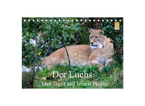 9783435524334 - Der Luchs - Der Jäger auf leisen Pfoten (Tischkalender 2025 DIN A5 quer) CALVENDO Monatskalender