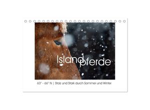 9783435524723 - Islandpferde - Stolz und Stark durch Sommer und Winter (Tischkalender 2025 DIN A5 quer) CALVENDO Monatskalender