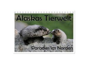 9783435525126 - Alaskas Tierwelt - Paradies im Norden (Tischkalender 2025 DIN A5 quer) CALVENDO Monatskalender