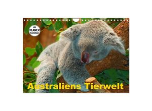 9783435525386 - Australiens Tierwelt (Wandkalender 2025 DIN A4 quer) CALVENDO Monatskalender