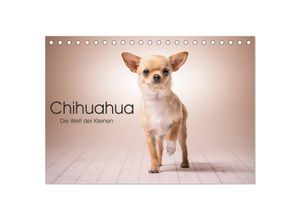 9783435527809 - Chihuahua - Die Welt der Kleinen (Tischkalender 2025 DIN A5 quer) CALVENDO Monatskalender