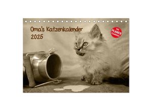 9783435528134 - Omas Katzenkalender 2025 (Tischkalender 2025 DIN A5 quer) CALVENDO Monatskalender